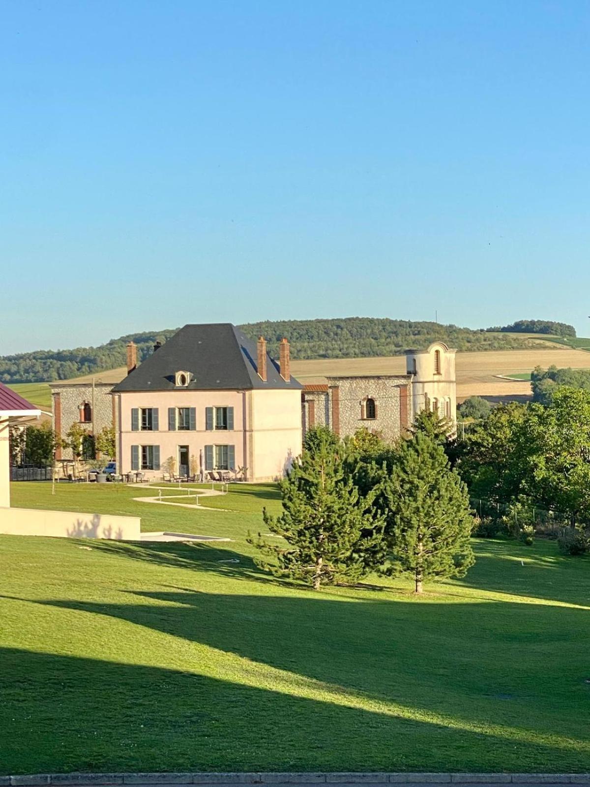 Villa Eulalie - Champagne Edouard Duval B&B Guest House Nestled In The Champagne Area Bligny Екстер'єр фото